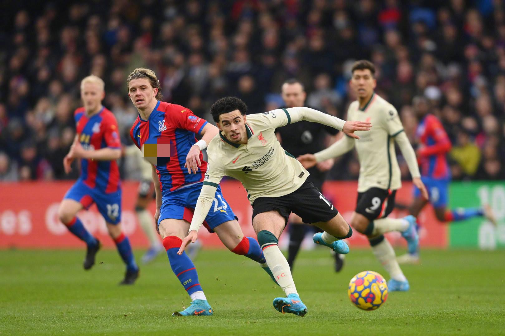 很多人坚信 很多人坚信